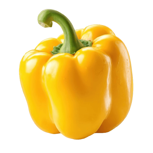 Yellow Bell Pepper